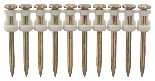 Afbeelding - https-www-ez-catalog-nl-Asset-ebd6139de6444a489caab8e40eba4b55-ImageFullSize-196293-6-C1C0-jpg